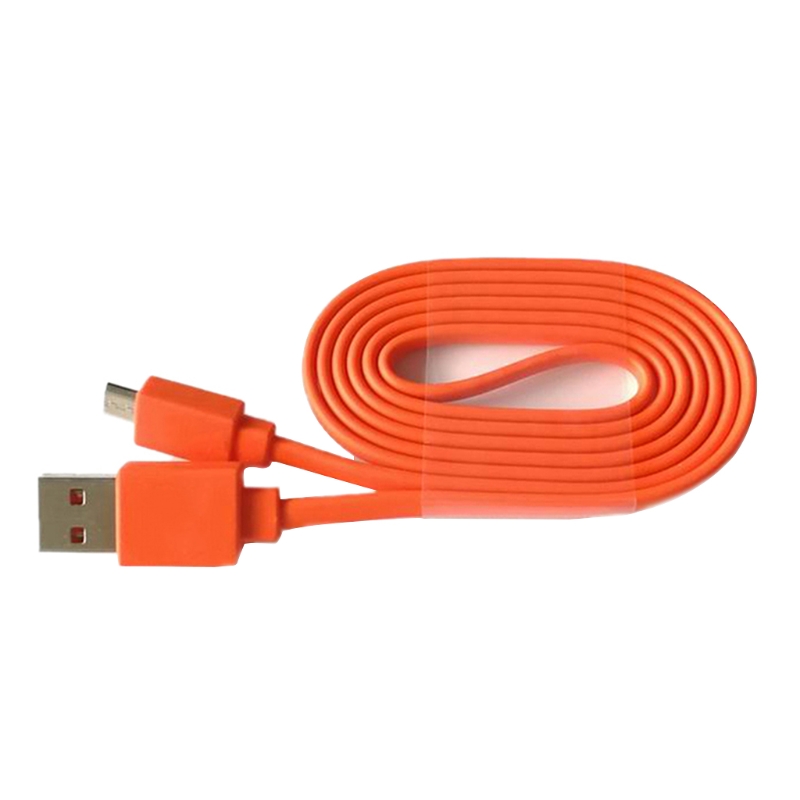 Cavo di ricarica USB per JBL F - Jbl Speaker Go 4 recensione e prezzo